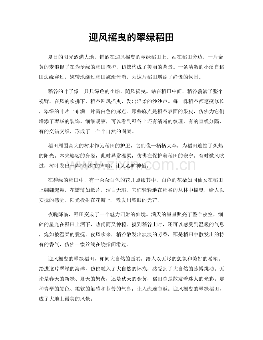 迎风摇曳的翠绿稻田.docx_第1页