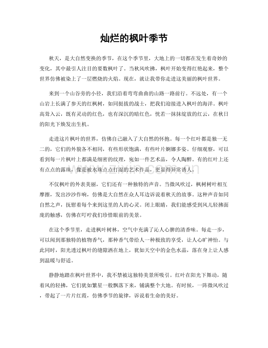 灿烂的枫叶季节.docx_第1页