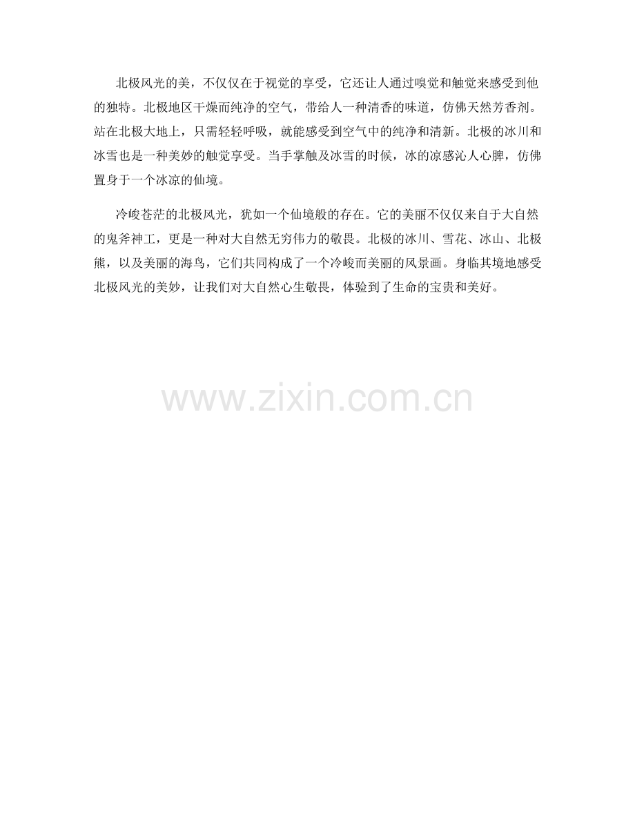 冷峻苍茫的北极风光.docx_第2页