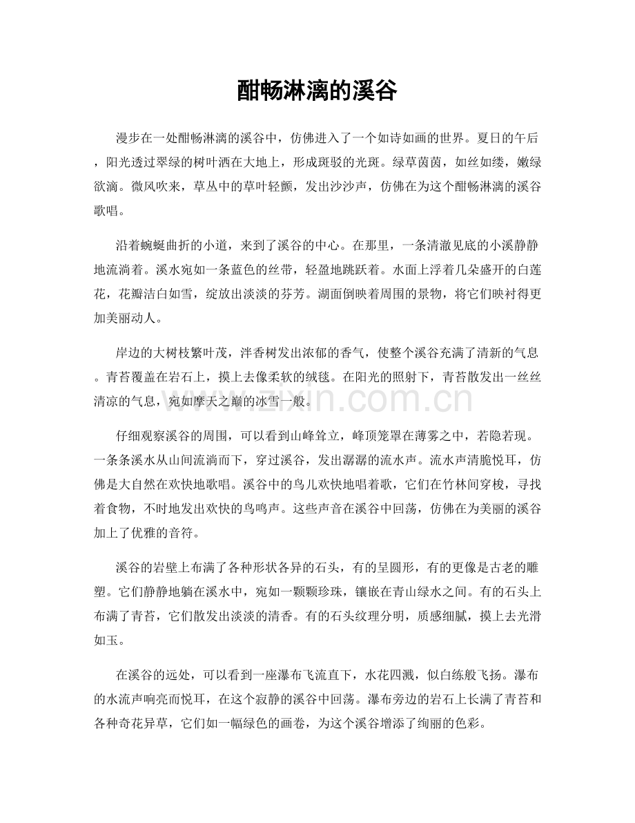 酣畅淋漓的溪谷.docx_第1页