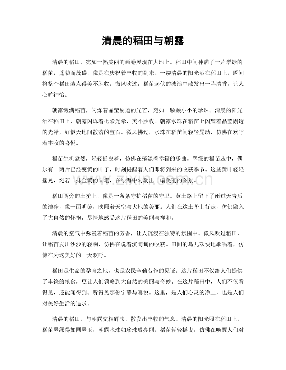 清晨的稻田与朝露.docx_第1页