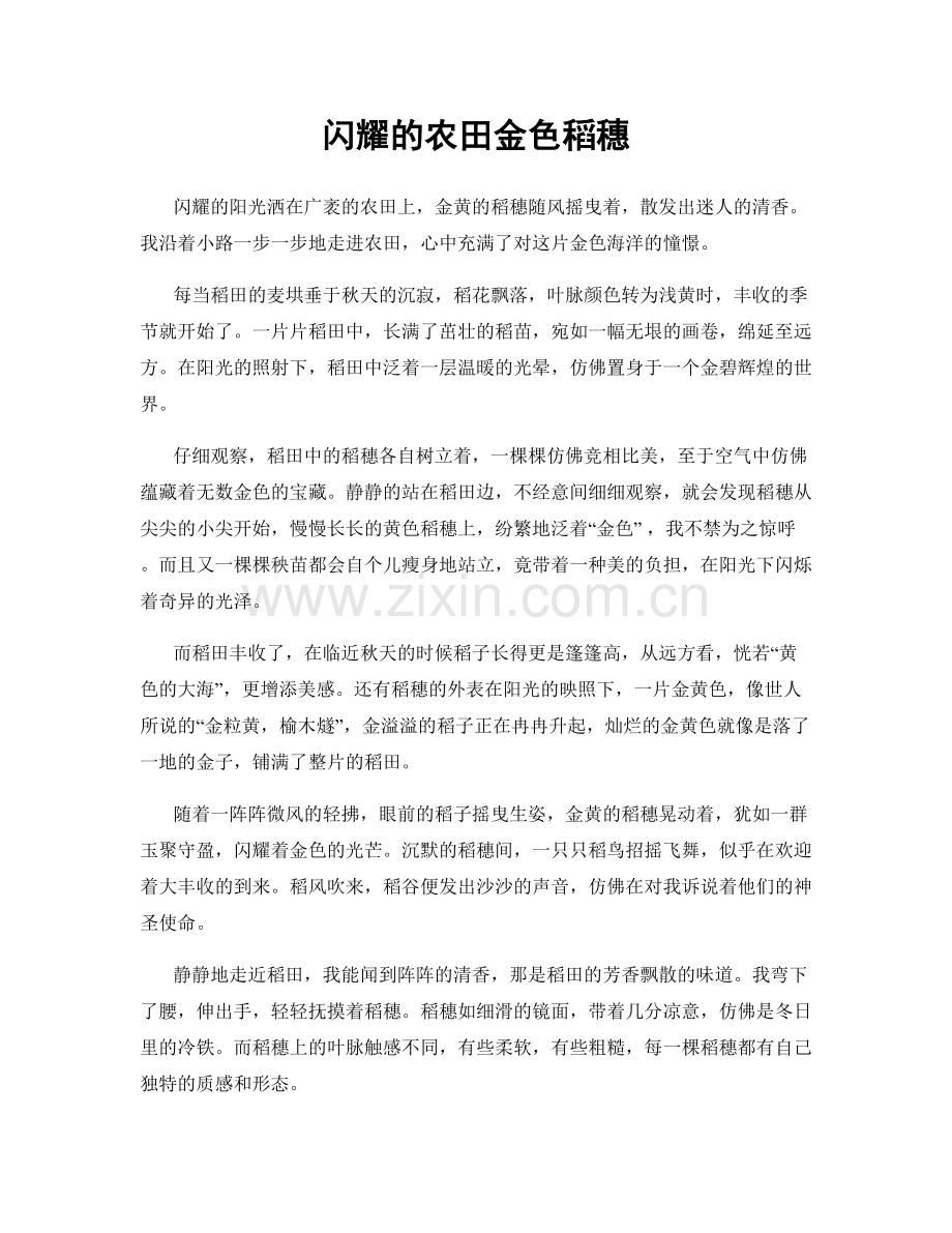 闪耀的农田金色稻穗.docx_第1页
