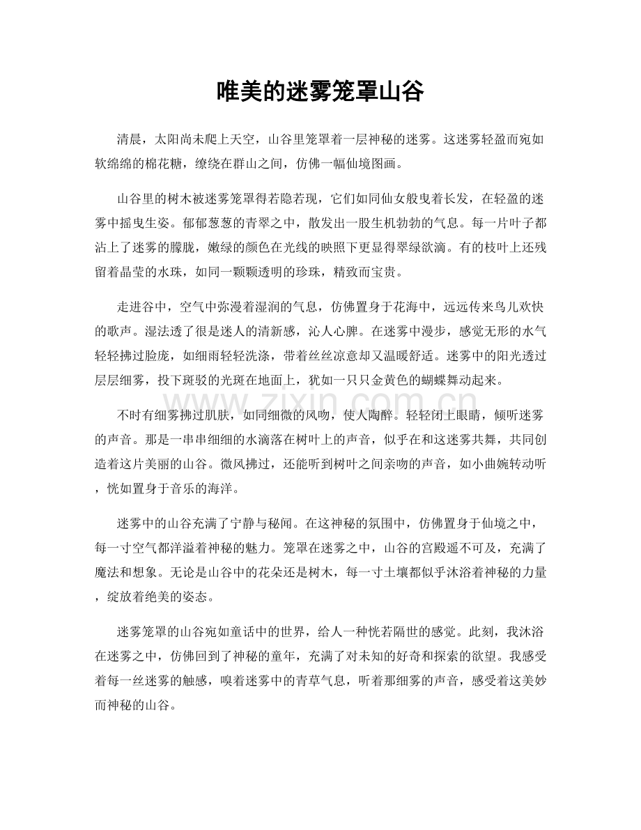 唯美的迷雾笼罩山谷.docx_第1页