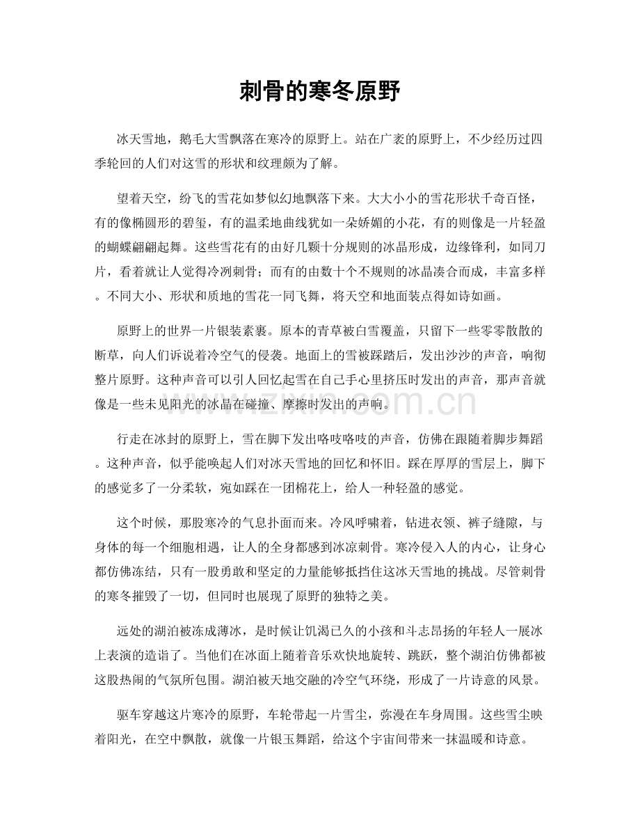 刺骨的寒冬原野.docx_第1页