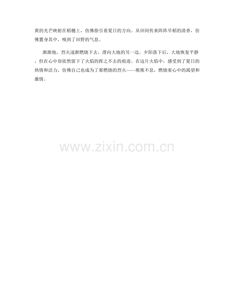 熊熊燃烧的烈火：日落之焰.docx_第2页