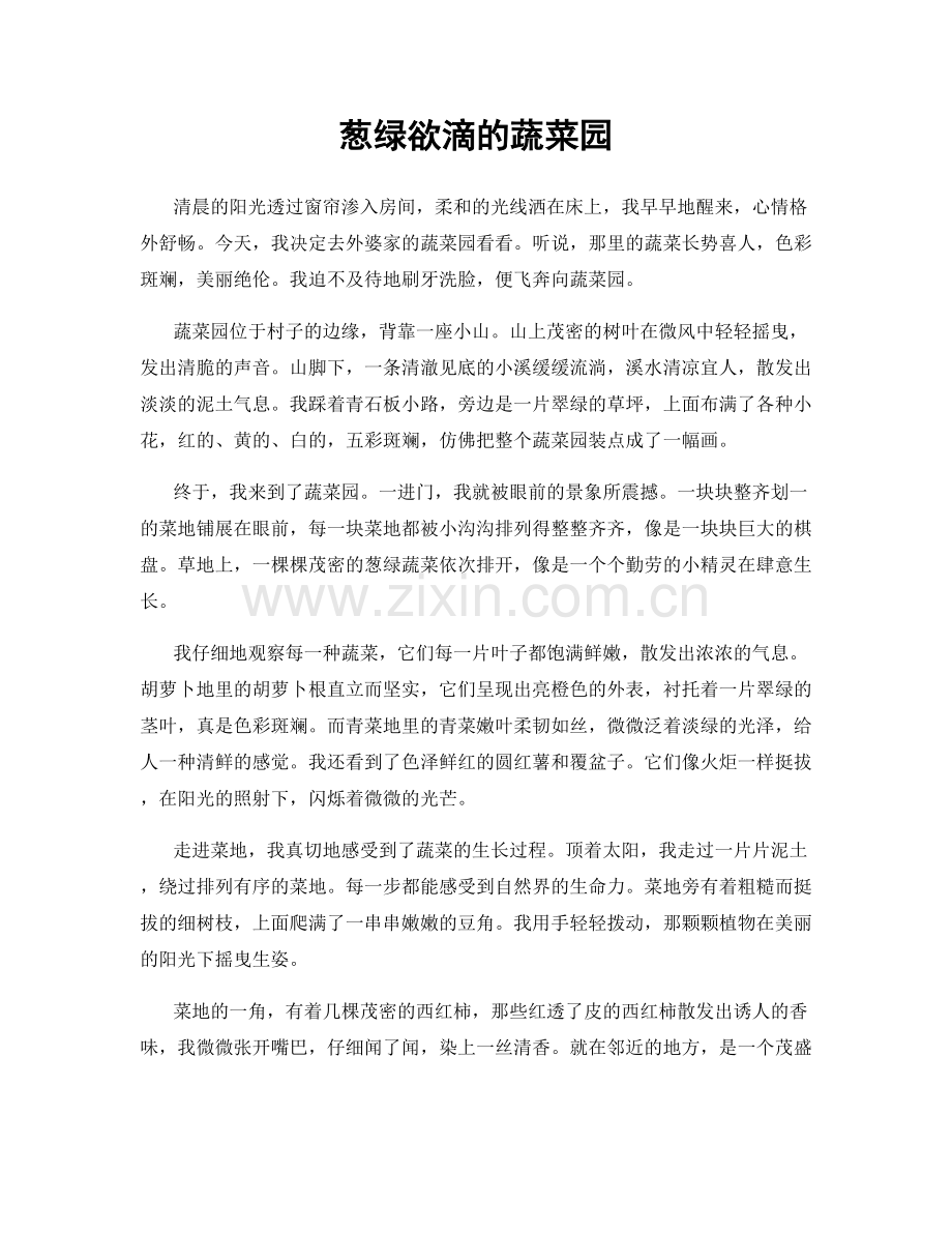 葱绿欲滴的蔬菜园.docx_第1页