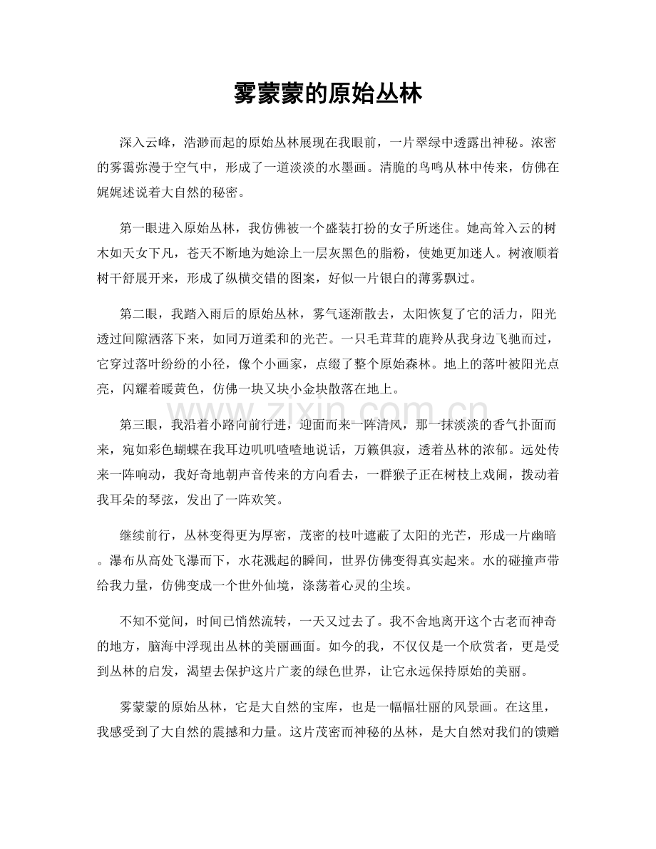 雾蒙蒙的原始丛林.docx_第1页