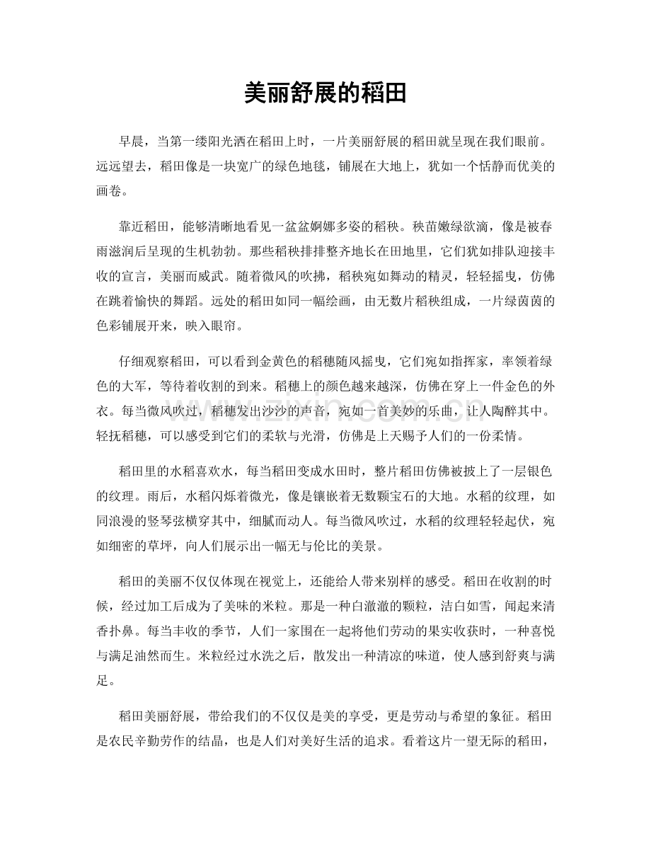 美丽舒展的稻田.docx_第1页