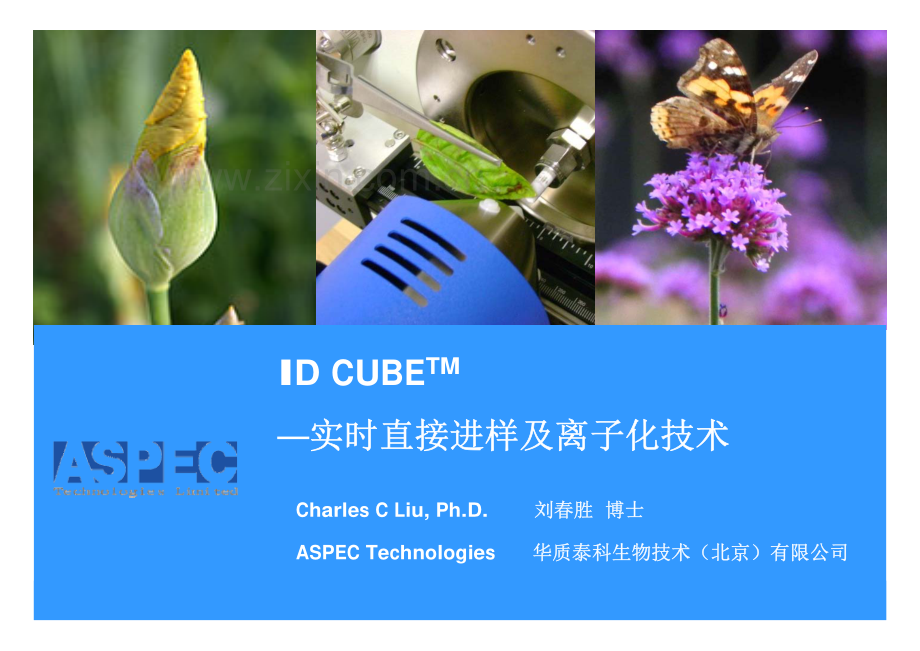 ID CUBE—实时直接进样及离子化技术.pdf_第1页