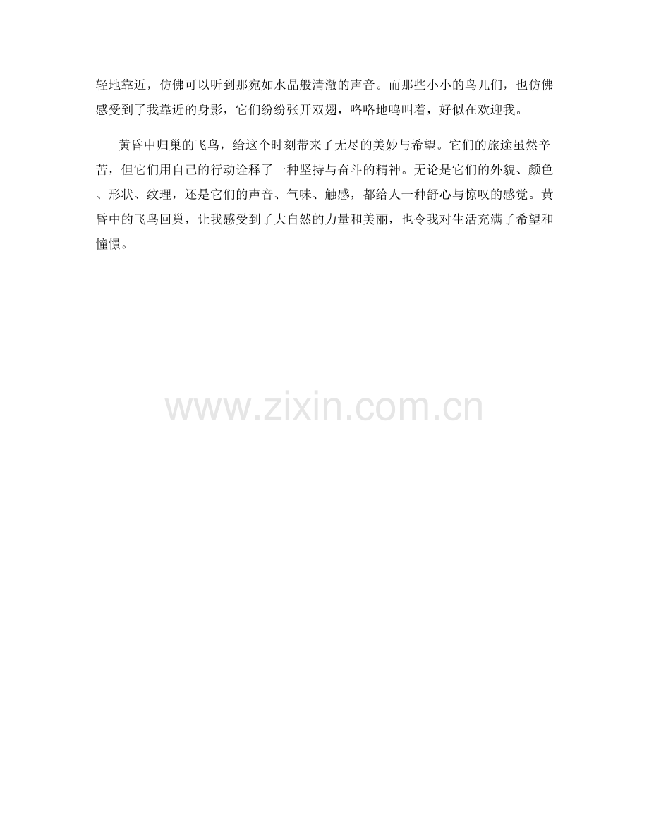 黄昏中的飞鸟回巢.docx_第2页