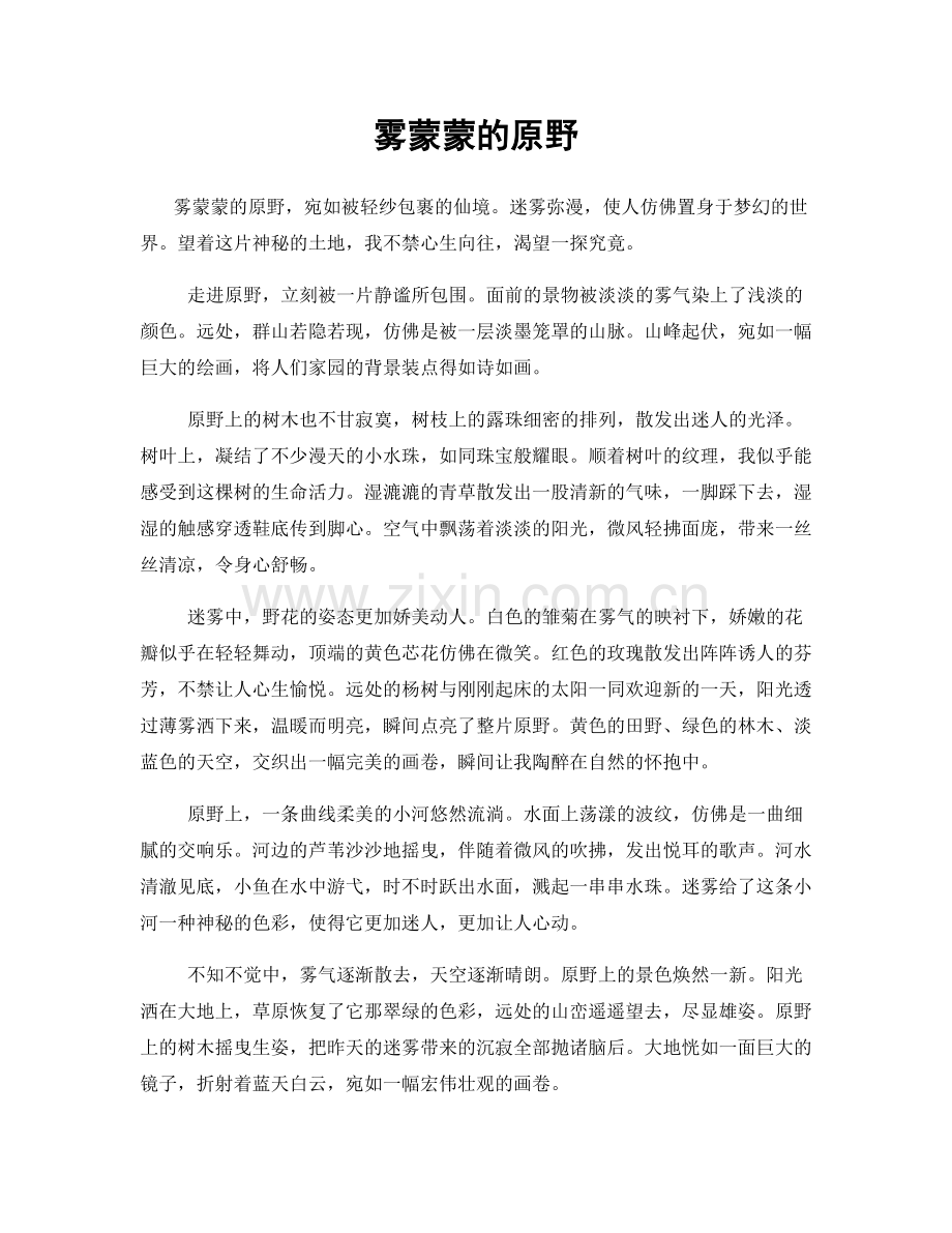 雾蒙蒙的原野.docx_第1页
