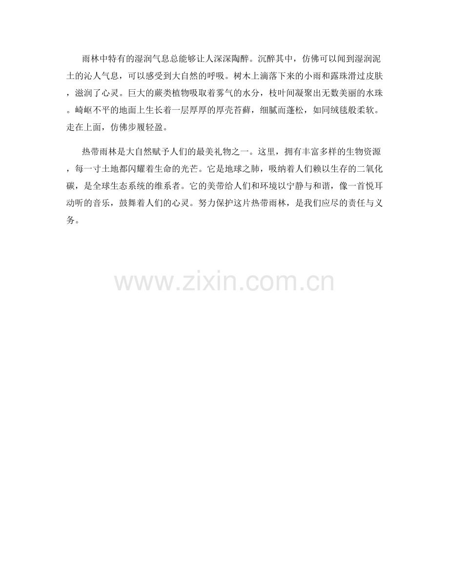 雷打不动的热带雨林.docx_第2页
