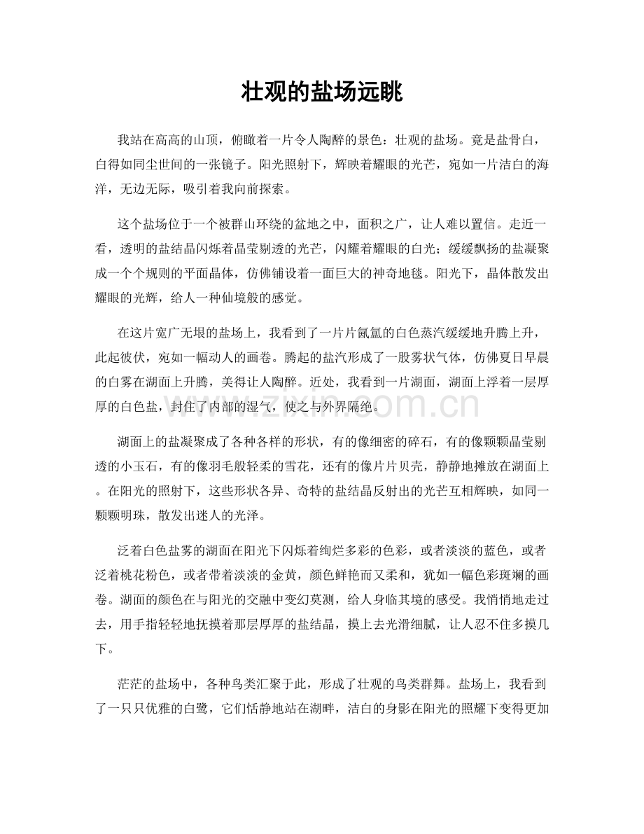 壮观的盐场远眺.docx_第1页