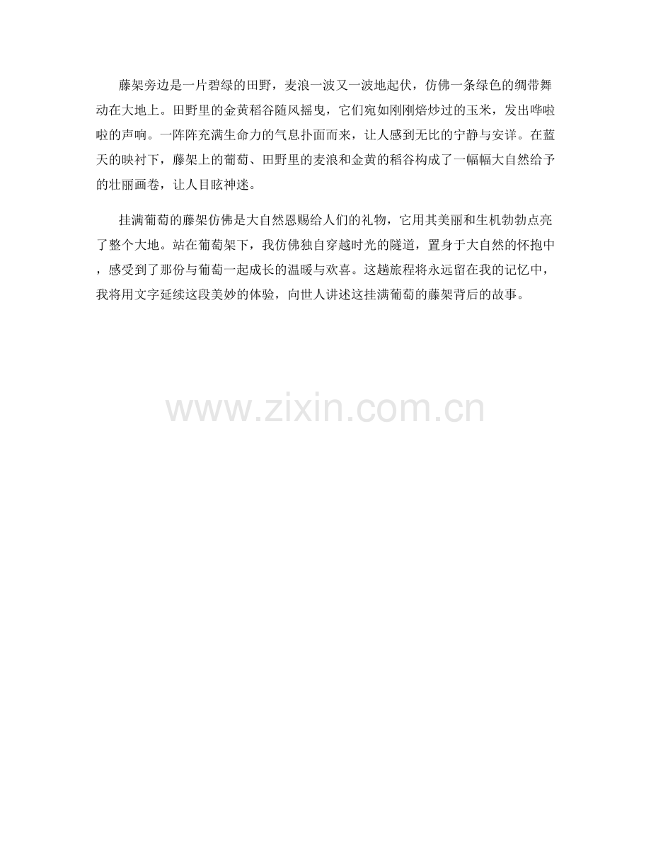 挂满葡萄的藤架.docx_第2页