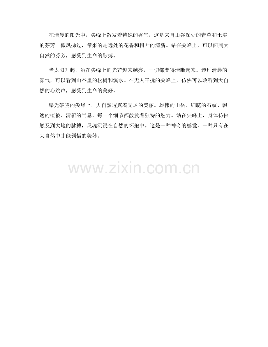 曙光破晓的尖峰上.docx_第2页