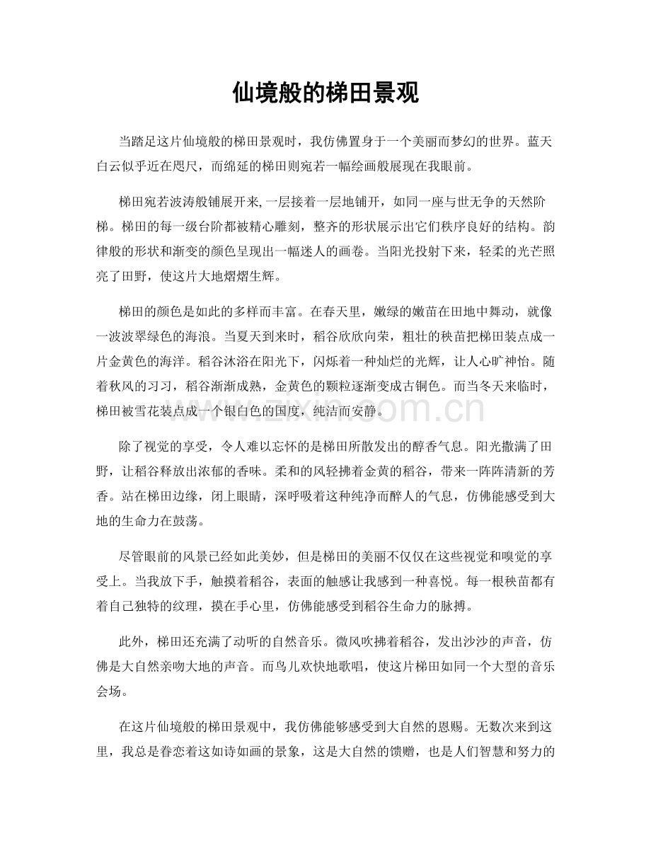 仙境般的梯田景观.docx_第1页