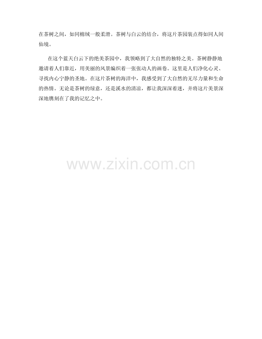 蓝天白云下的绝美茶园.docx_第2页