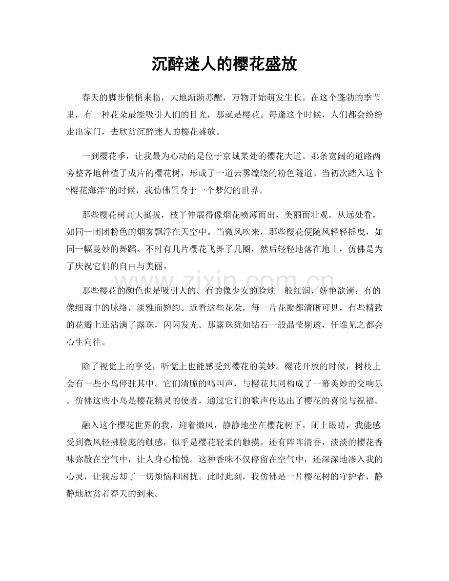 沉醉迷人的樱花盛放.docx_第1页