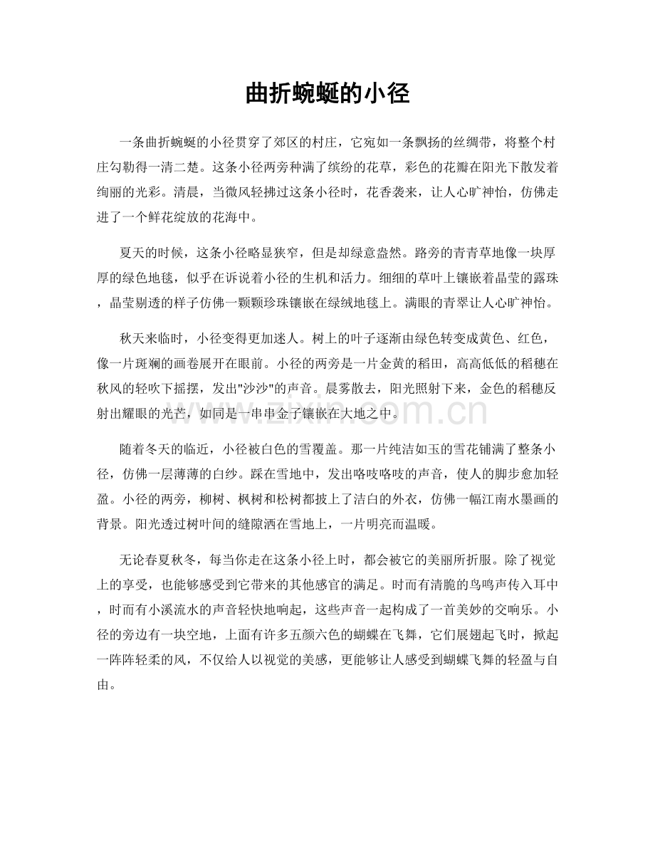 曲折蜿蜒的小径.docx_第1页