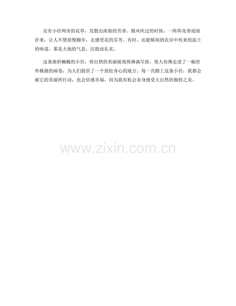 曲折蜿蜒的小径.docx_第2页