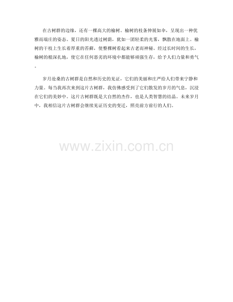 岁月沧桑的古树群.docx_第2页