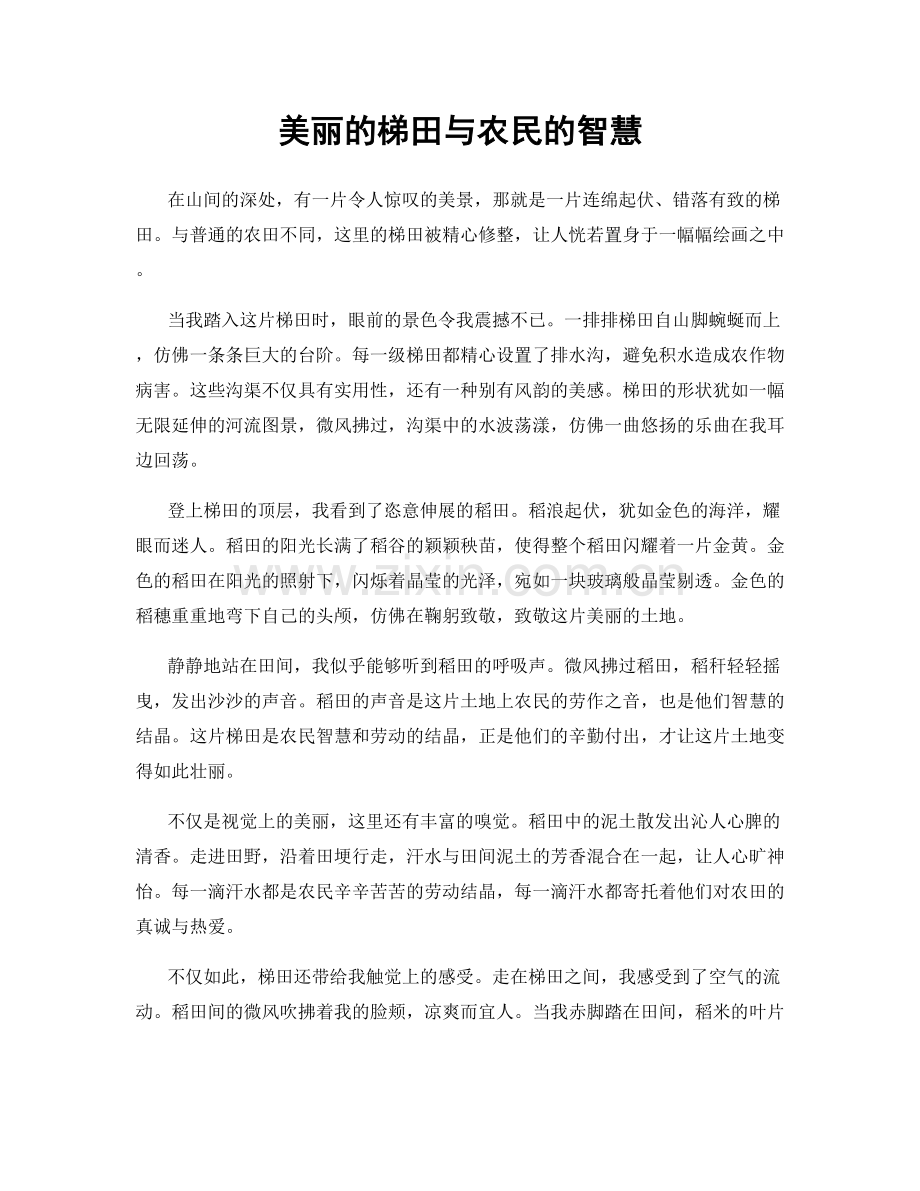 美丽的梯田与农民的智慧.docx_第1页