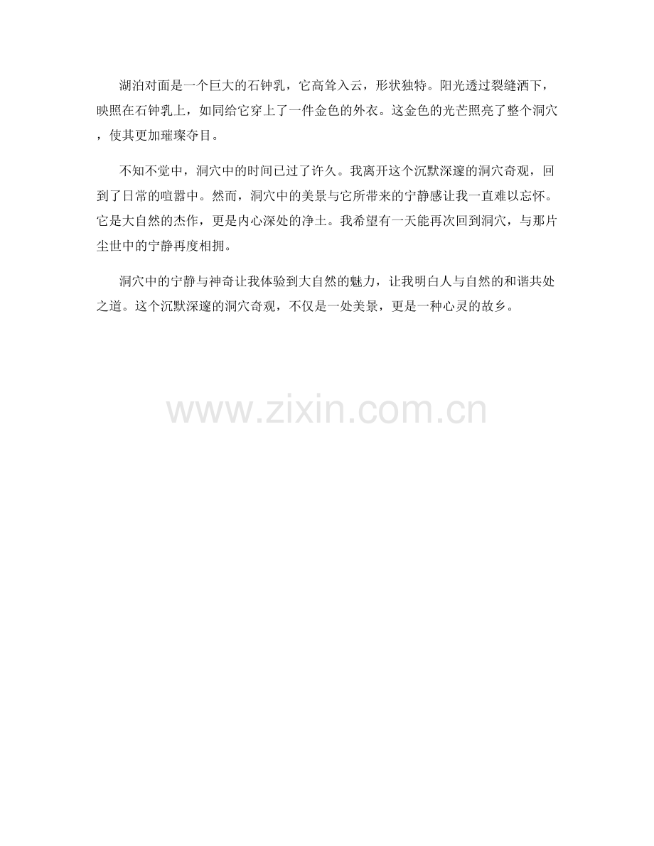 沉默深邃的洞穴奇观.docx_第2页