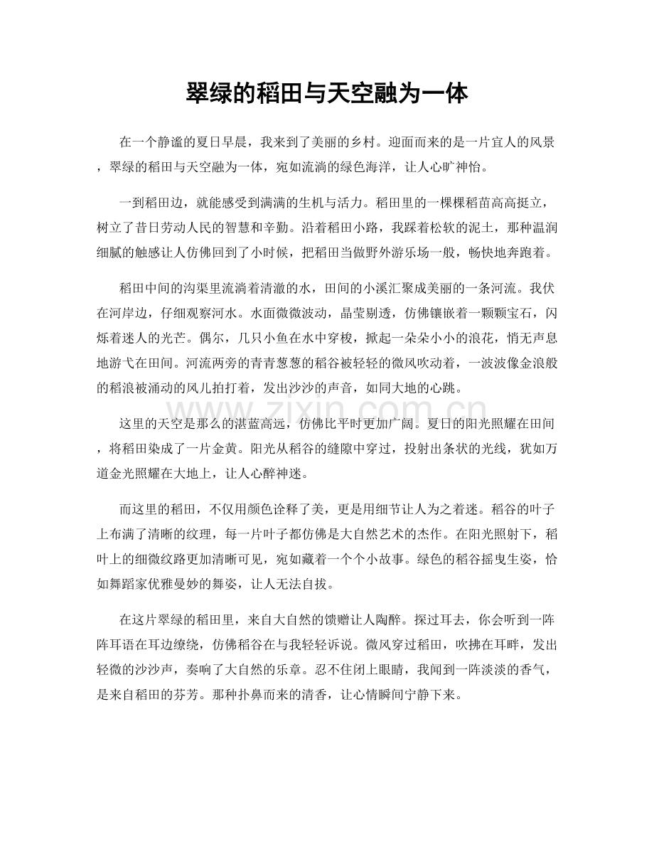 翠绿的稻田与天空融为一体.docx_第1页