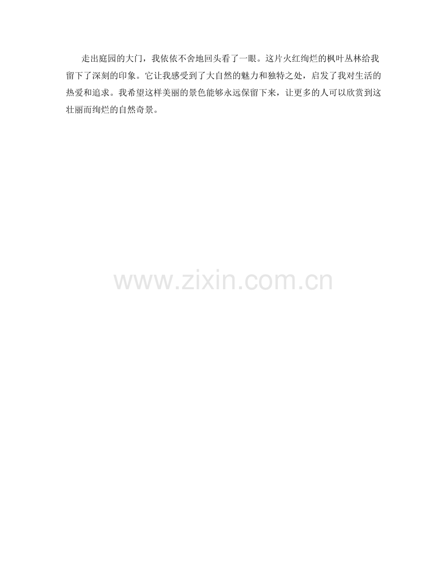 火红绚烂的枫叶丛林.docx_第2页