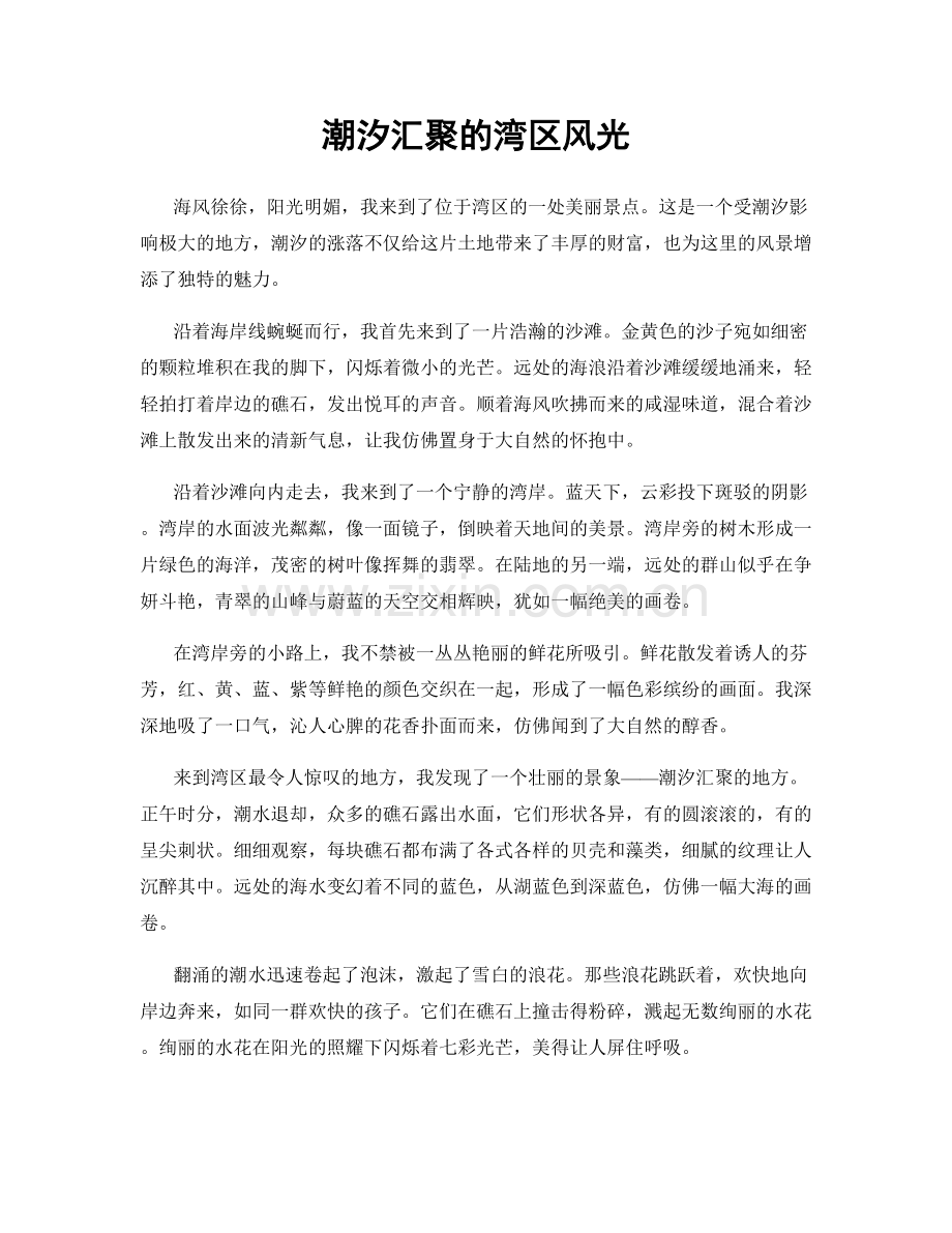 潮汐汇聚的湾区风光.docx_第1页