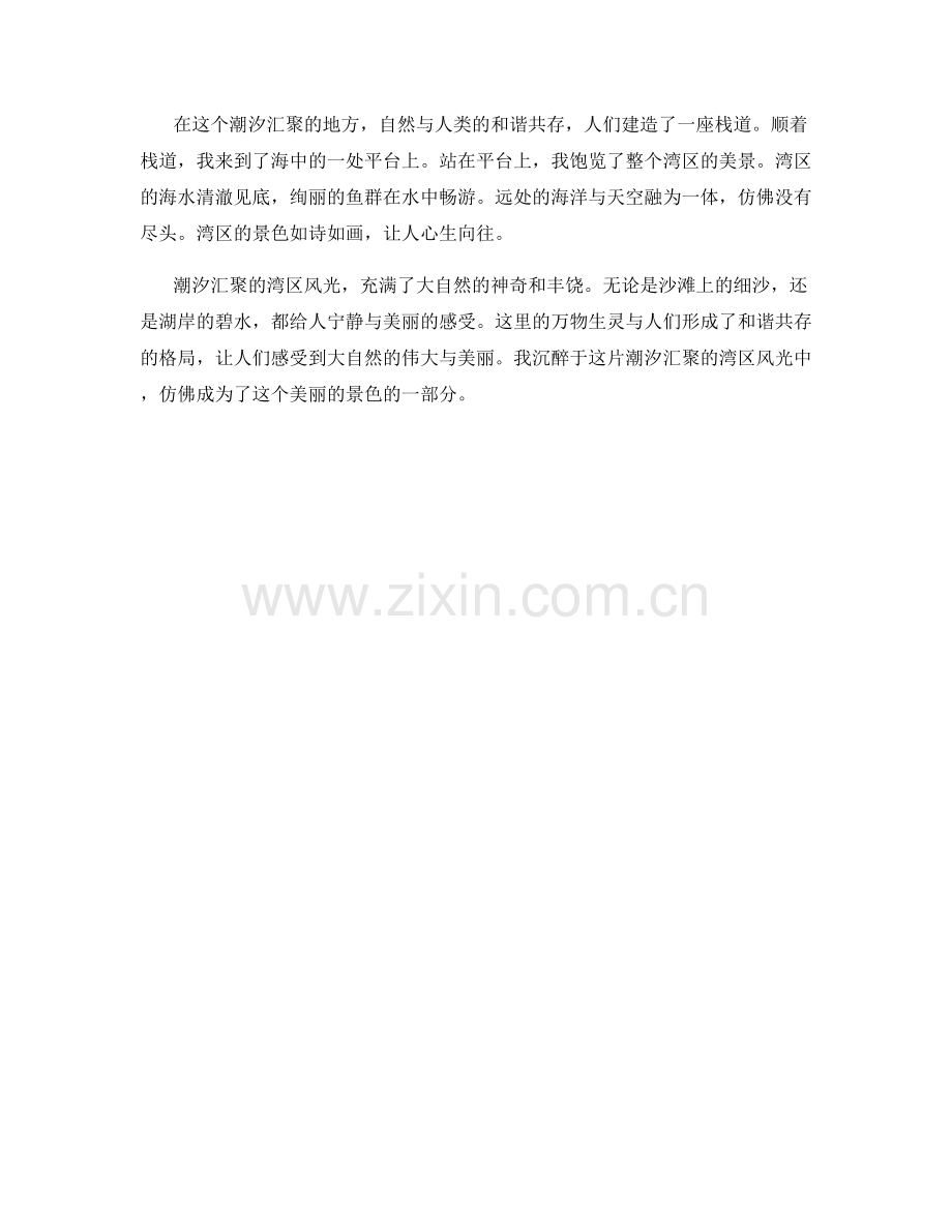 潮汐汇聚的湾区风光.docx_第2页