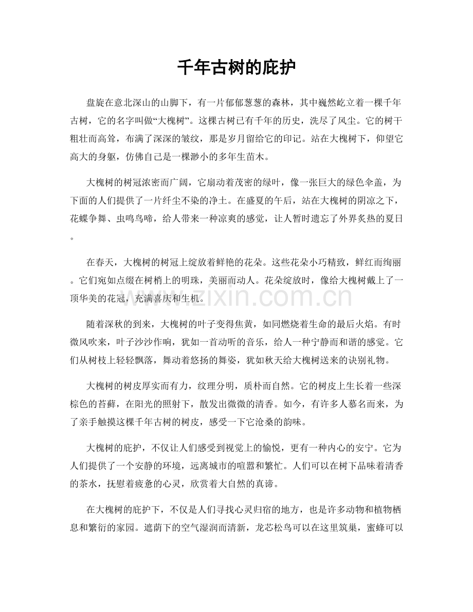 千年古树的庇护.docx_第1页