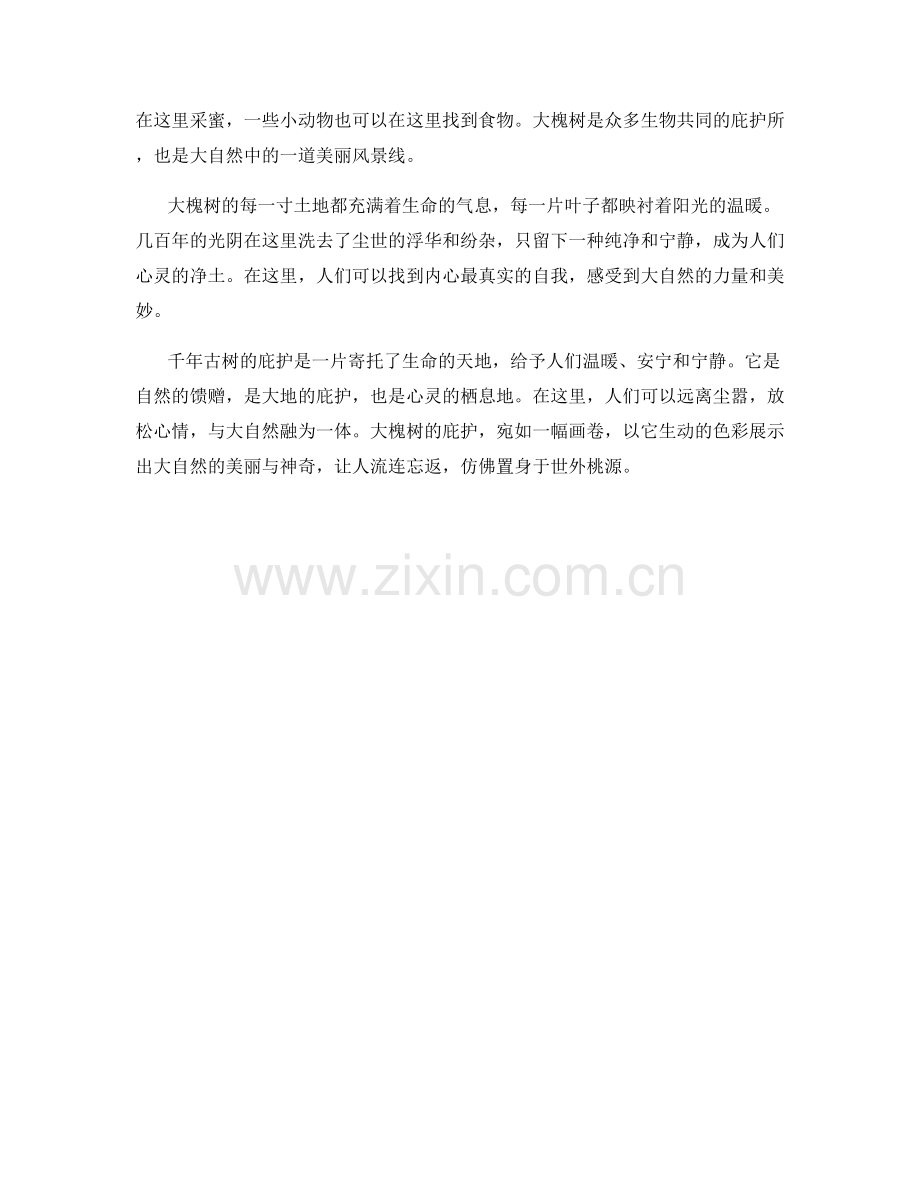 千年古树的庇护.docx_第2页