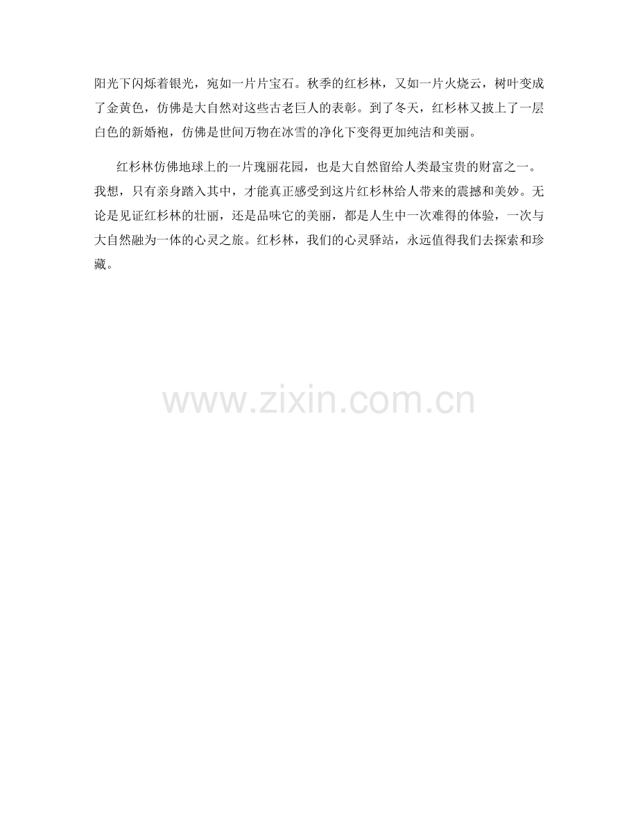 挺拔的红杉林.docx_第2页