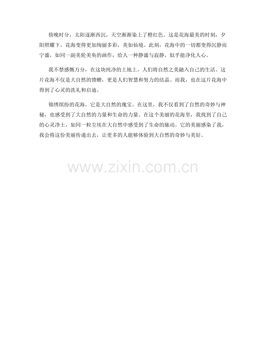 锦绣缤纷的花海.docx_第2页