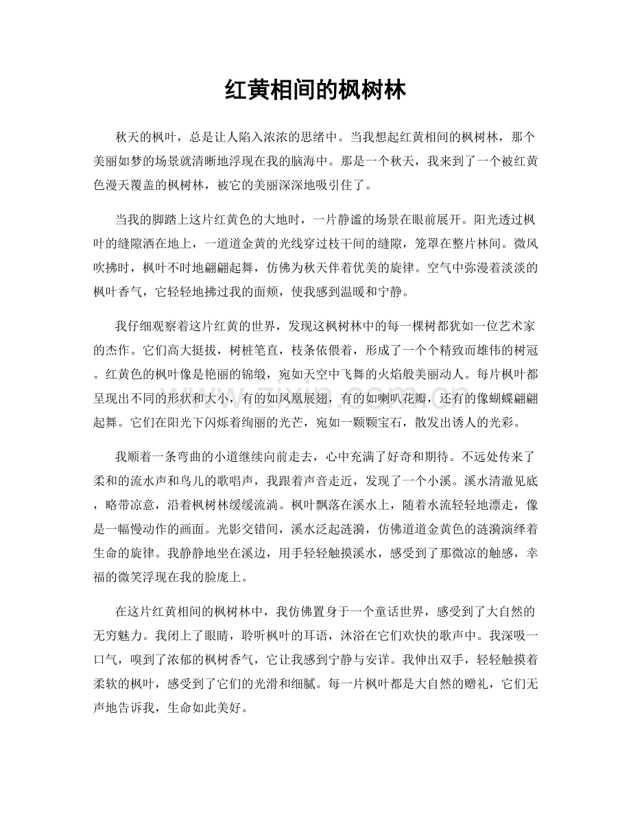 红黄相间的枫树林.docx_第1页