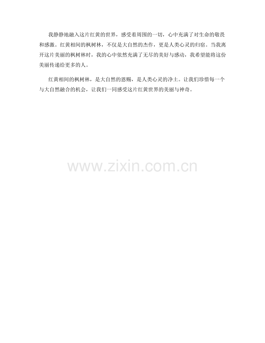 红黄相间的枫树林.docx_第2页