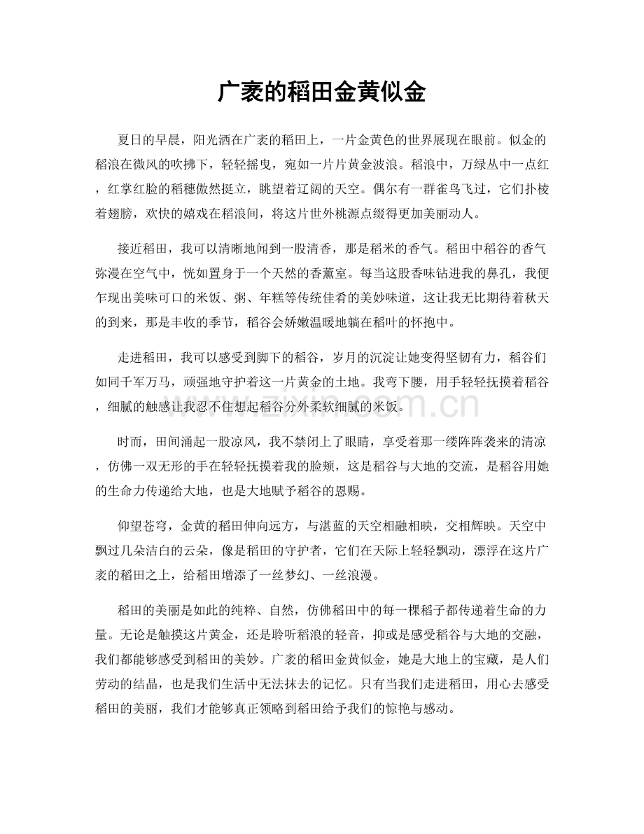 广袤的稻田金黄似金.docx_第1页