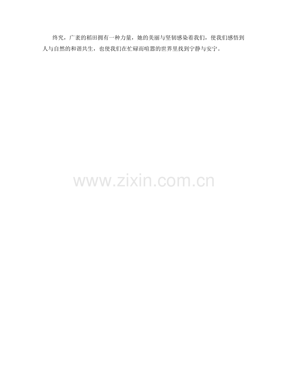 广袤的稻田金黄似金.docx_第2页