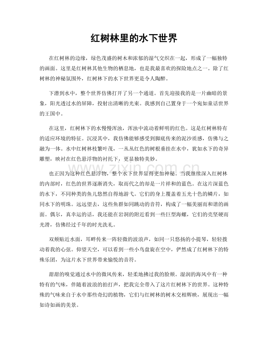 红树林里的水下世界.docx_第1页