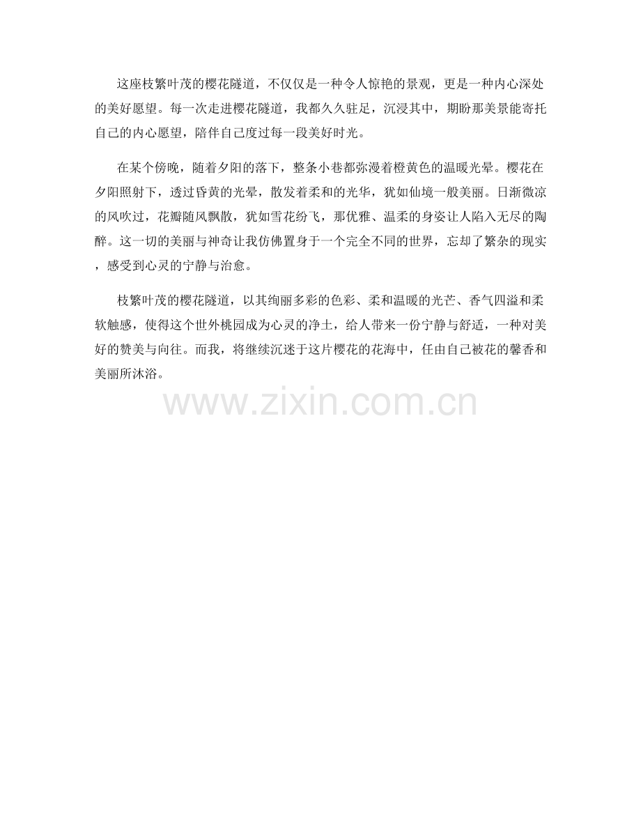 枝繁叶茂的樱花隧道.docx_第2页