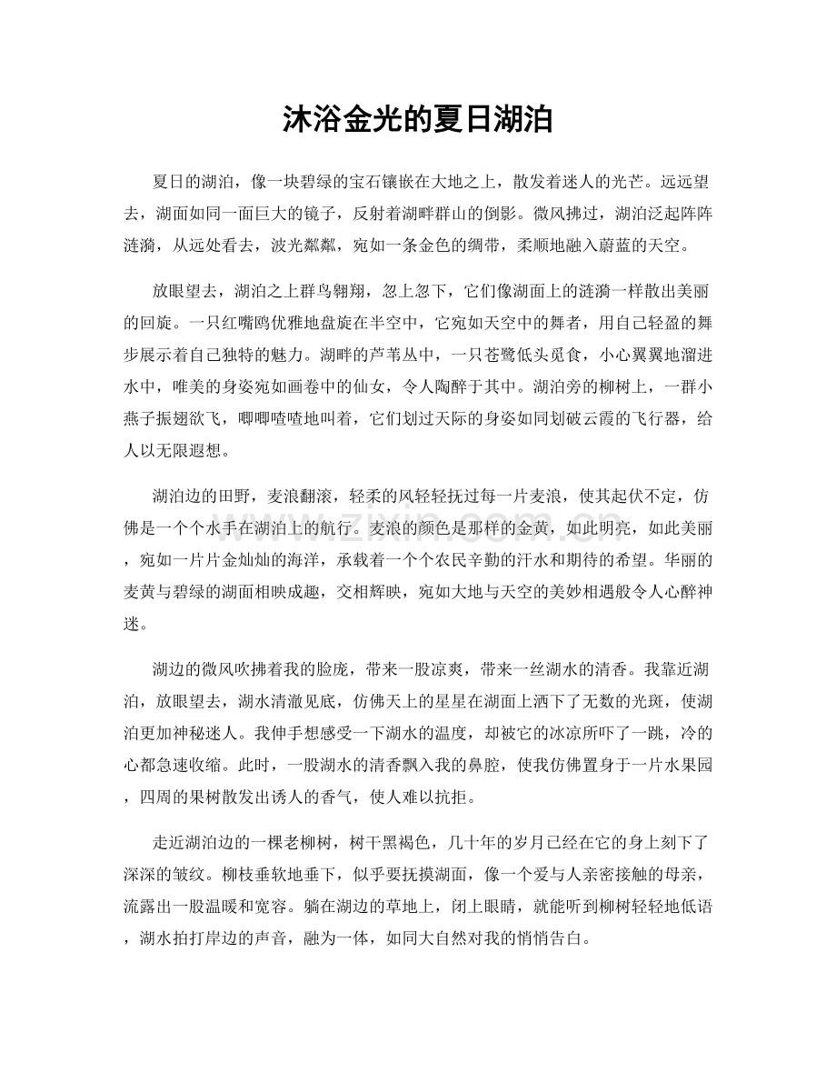 沐浴金光的夏日湖泊.docx_第1页