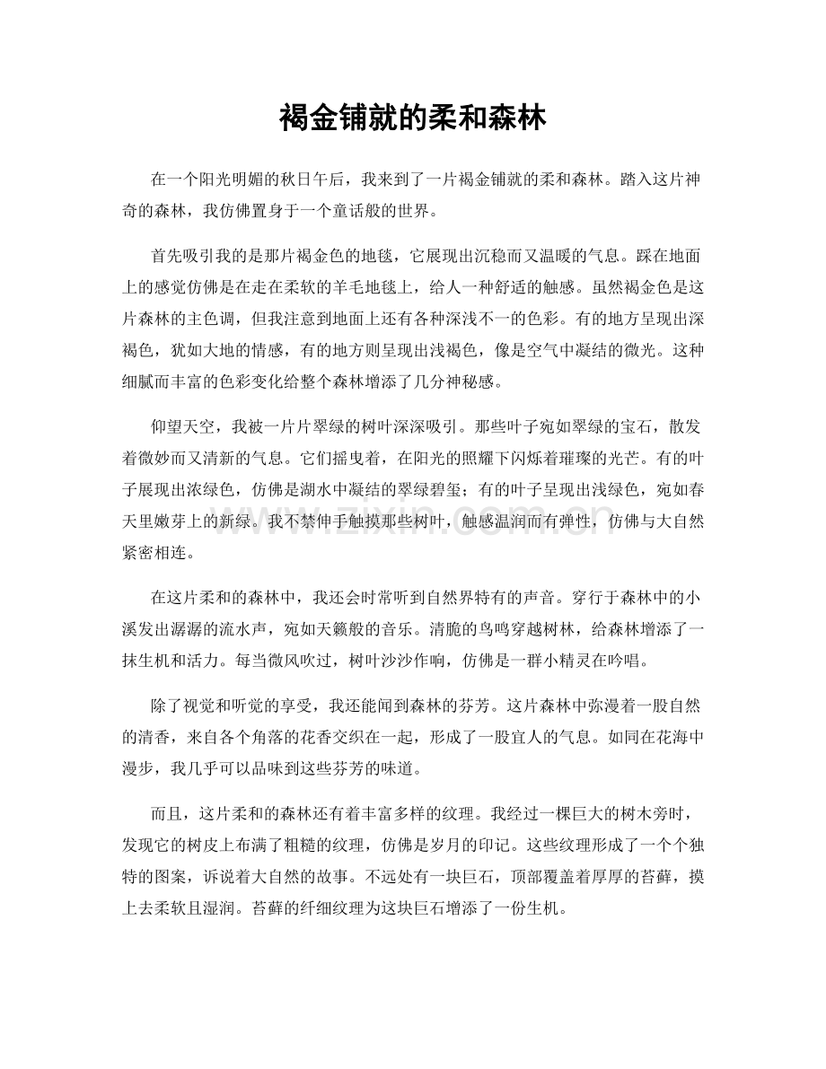 褐金铺就的柔和森林.docx_第1页