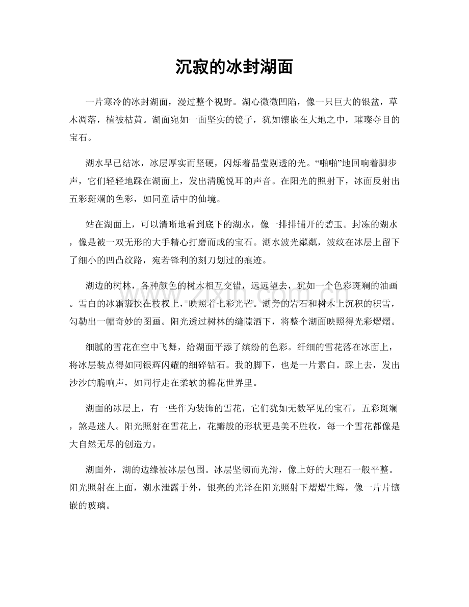 沉寂的冰封湖面.docx_第1页