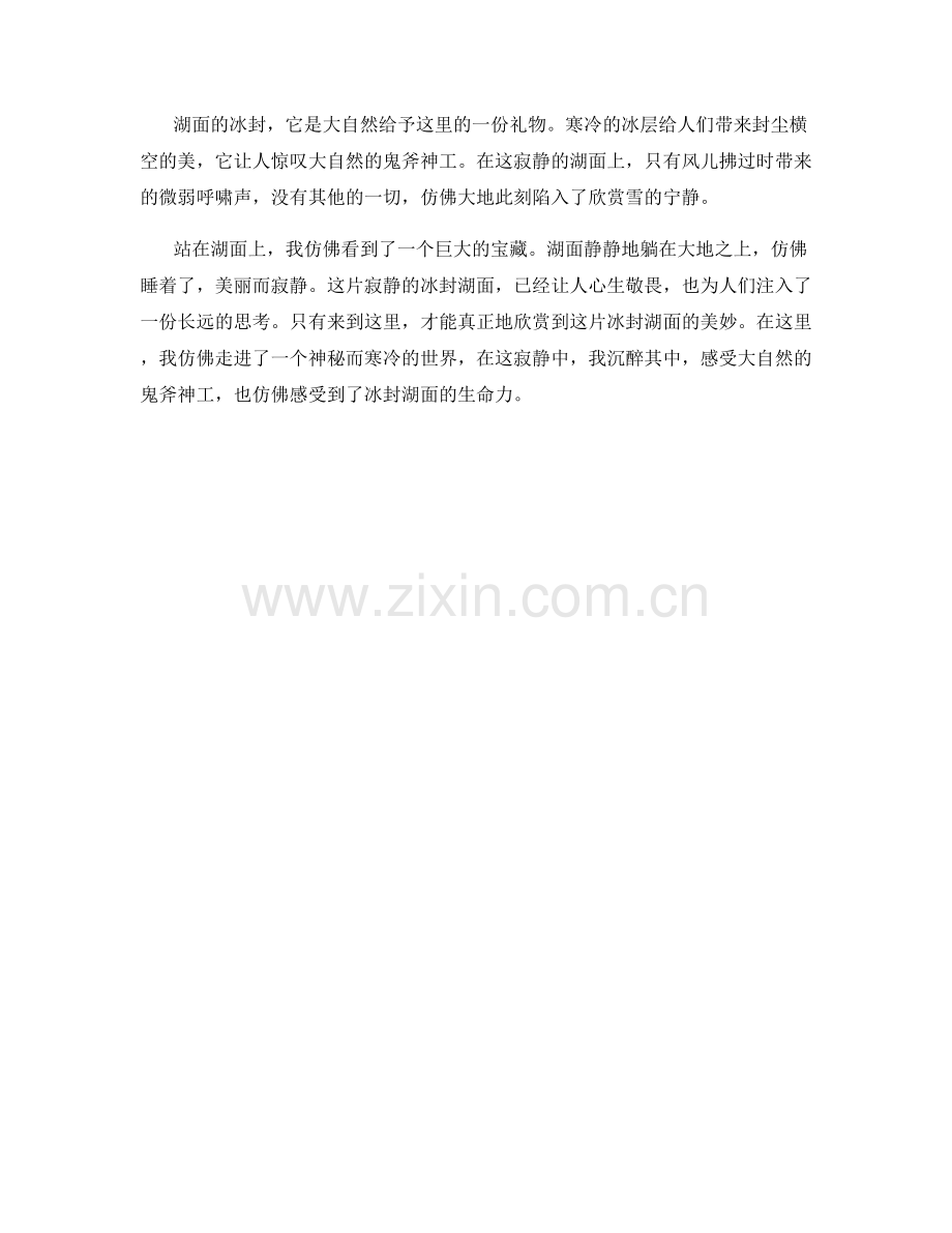 沉寂的冰封湖面.docx_第2页
