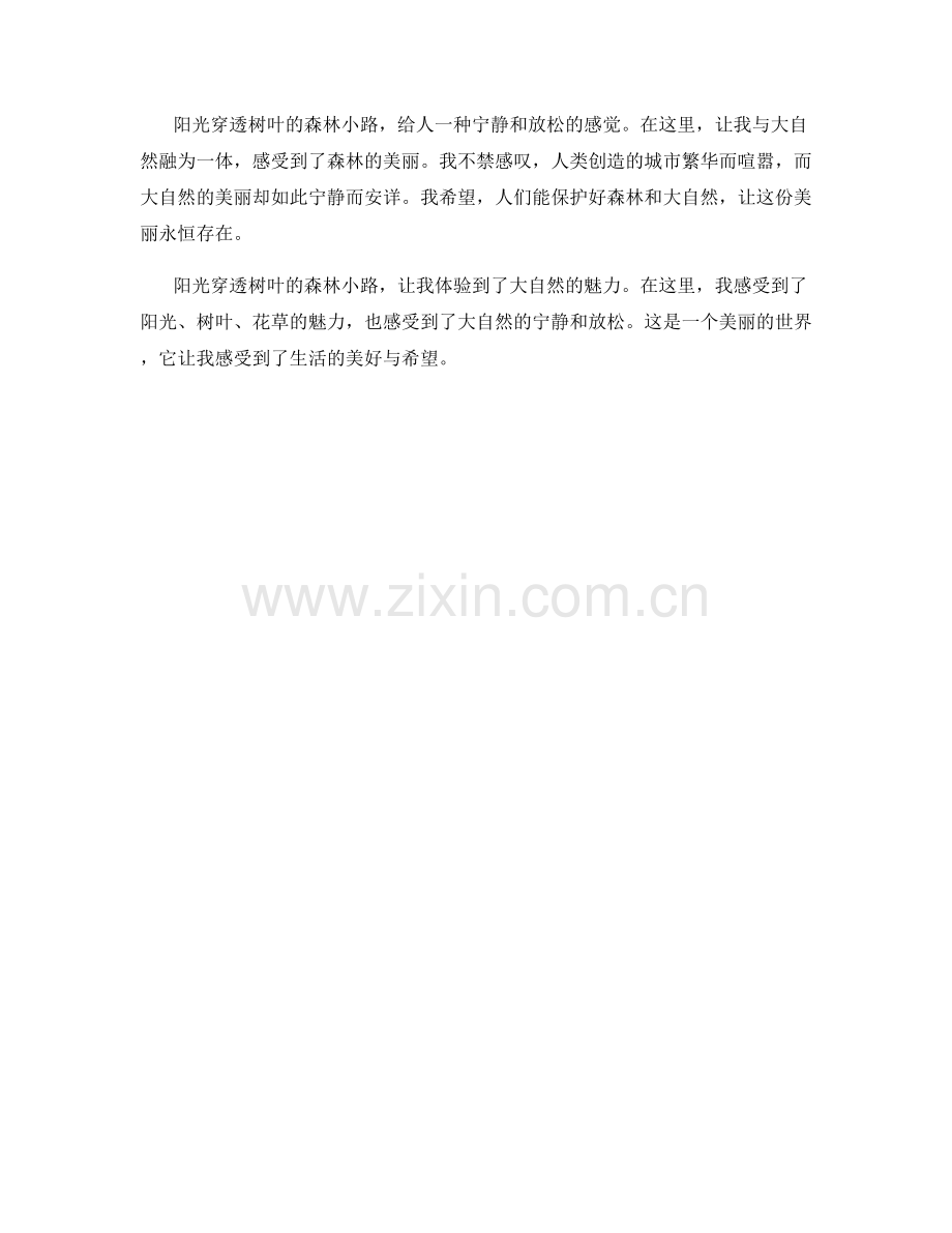 阳光穿透树叶的森林小路.docx_第2页