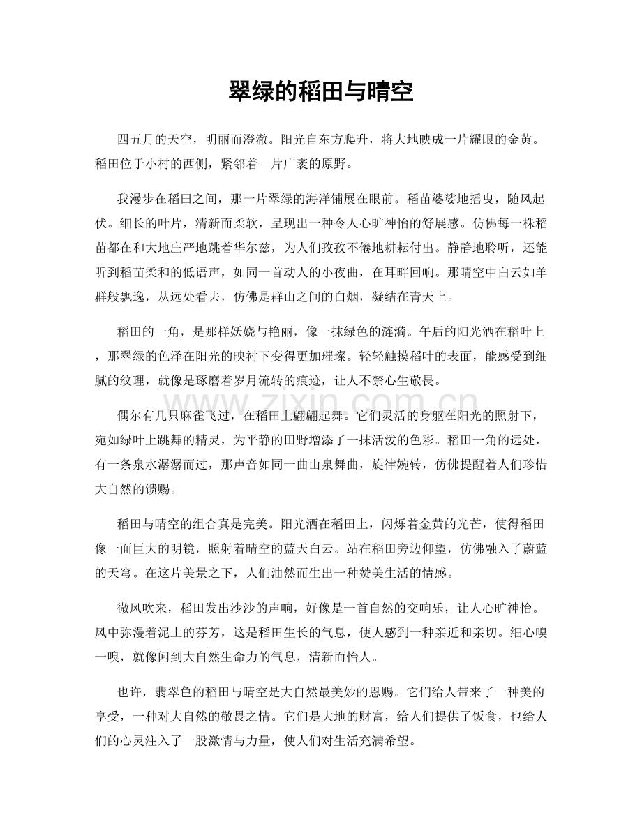 翠绿的稻田与晴空.docx_第1页