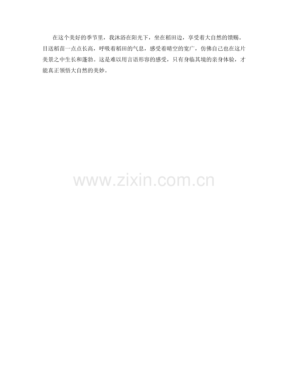 翠绿的稻田与晴空.docx_第2页