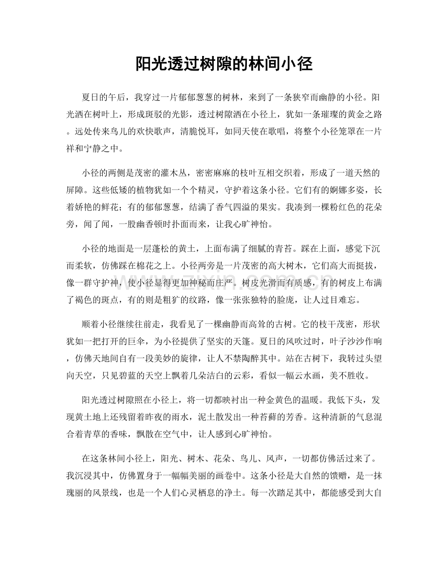 阳光透过树隙的林间小径.docx_第1页