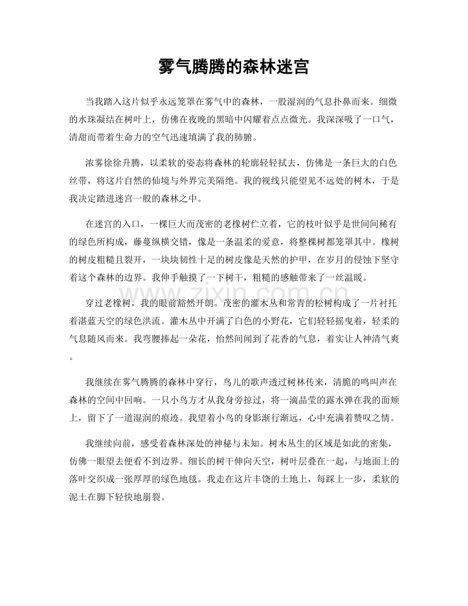 雾气腾腾的森林迷宫.docx_第1页